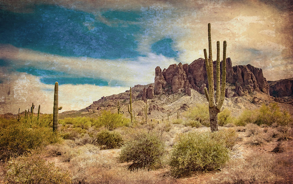 Saguaro cacti and rocky desert mountains in a textured fine-art photograph by Greg Dyro